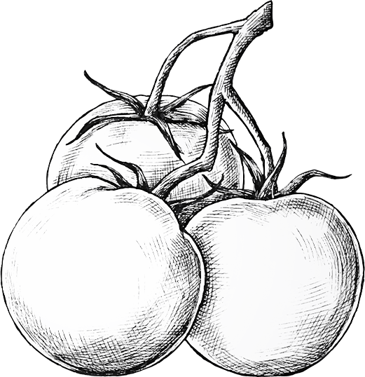 nos tomates anciennes