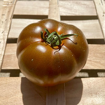 La tomate noire - Kakao